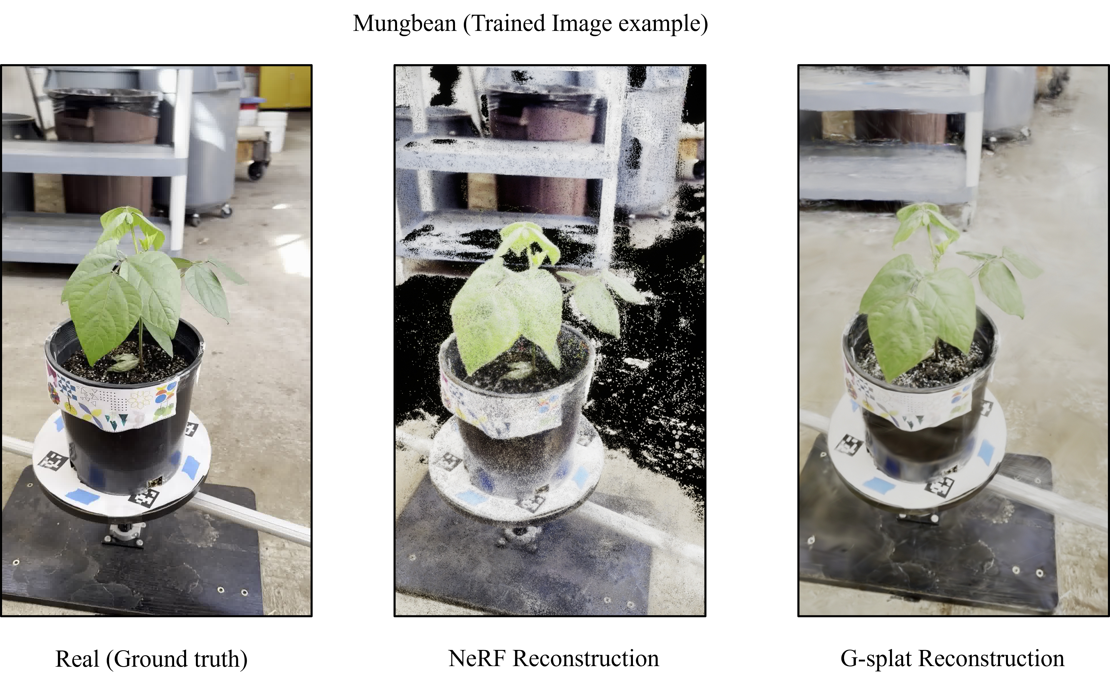 Trained viewpoints comparison for NeRF and G-Splat